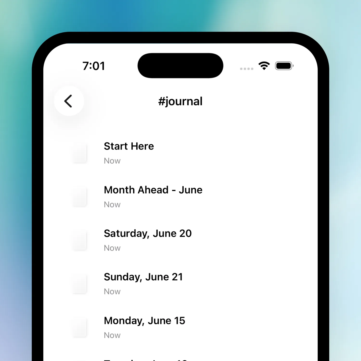 Raven's daily journal list on iPhone.